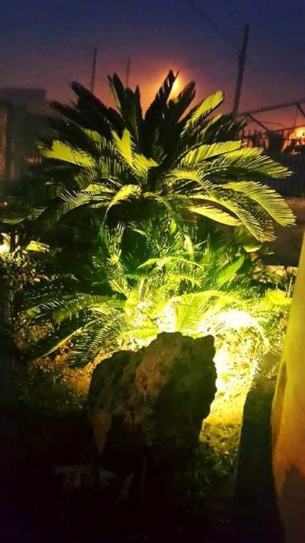 莱切罗斯佩奇奥德尔萨兰托旅馆住宿加早餐旅馆 客房 照片